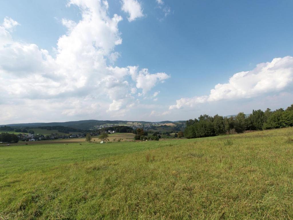 Ferienwohnung Ripa Erzgebirge In Schwarzenberg ชวาร์เซนเบิร์ก ภายนอก รูปภาพ